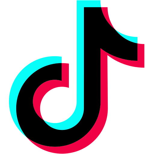TikTok Conversion